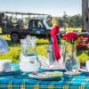 Отель Losokwan Luxury Tented Camp - Maasai Mara, фото 9