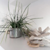 Отель Seepferdchen Wohnung 28, фото 16