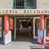 Отель Galleria Salamanca, фото 12