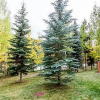 Отель Red Hawk Townhome #2327 by Summit County Mountain Retreats, фото 17