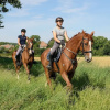 Отель Ferien- und Pferdehof Glöe GbR, фото 21