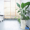 Отель Yongzhou Kapok Homestay (Baiye Street), фото 3