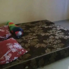 Отель Elvira Homestay - Hostel, фото 12