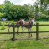 Отель Balmoral Rolvenden in Rolvenden, фото 9