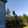Отель NdamaRosa River Park Resort, фото 3