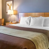 Отель Comfort Inn, фото 2