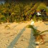 Отель Reef Motel - Aitutaki, фото 14