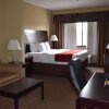 Отель Comfort Inn and Suites Near Lake Guntersville, фото 3