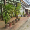 Отель Mani Home & Hostel Luang Prabang, фото 7