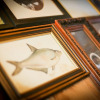 Отель The Bamburgh Castle Inn - The Inn Collection Group, фото 14