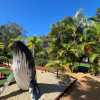 Отель Tamarind Sands Resort, фото 18