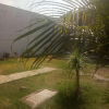 Отель Bungalows del Río, фото 8