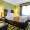 Отель Comfort Inn & Suites near Six Flags, фото 4