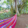 Отель Casa Jungla Hostel, фото 16