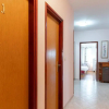 Отель Apartment Zadar Bonifacija Perovica, фото 14