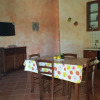 Отель House Surrounded by Olive Trees, фото 12