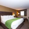 Отель Quality Inn & Suites, фото 22