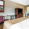 Отель Quality Inn & Suites Minden, фото 4