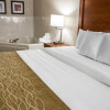 Отель Comfort Inn & Suites Riverview, фото 13