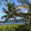 Отель Pacific Treelodge Resort Kosrae, фото 7