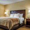 Отель Comfort Inn & Suites Farmington - Victor, фото 7