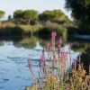 Отель Agriturismo ai Due Leoni, фото 10