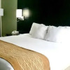 Отель Comfort Inn, фото 8