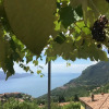 Отель BnB Borgo le Vigne - Il Mosto, фото 9