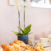 Отель Caravogue House Bed & Breakfast, фото 9