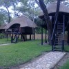 Отель The Tree Lodge at Sikumi, фото 3