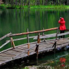Отель pınar kır evi, фото 9