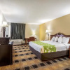 Отель Econo Lodge Inn & Suites Fairview Heights near I-64 St Louis, фото 12