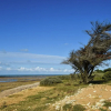 Отель Cozy Holiday Home in Sainte-Marie-de-Re near Sea, фото 8