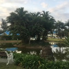 Отель Caribbean Estates Villa & Apt, фото 20