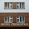 Отель Prokopka, фото 1