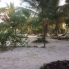 Отель Mpole Bungalows, фото 14