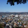 Отель Guest House Nihon 1 Shuu - Hostel, фото 12