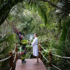 Отель Hyatt Zilara Riviera Maya Adults Only All Inclusive, фото 32