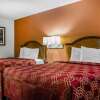 Отель Econo Lodge Inn & Suites, фото 27