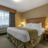 Отель Best Western Sicamous Inn, фото 4