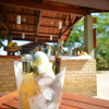 Отель Village Cataratas, фото 9