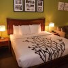 Отель Sleep Inn And Suites Laurel, фото 31
