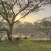 Отель Chobe Safari Lodge, фото 3