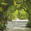 Отель Helengeli Island Resort, фото 16