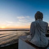 Отель Sandhi House - Yoga & Wellness, фото 25