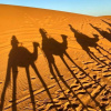 Отель Tassili Luxury Desert Camp, фото 16