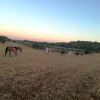 Отель Agriturismo Fasano, фото 14