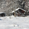 Отель Rustic Chalet, Ultimate Relaxation in the Forest, фото 16