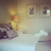 Отель Olive Manor Guest House, фото 2