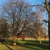 Отель Bright Flat With Hackney Park Views в Лондоне